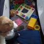 2007-3-5_078.jpg